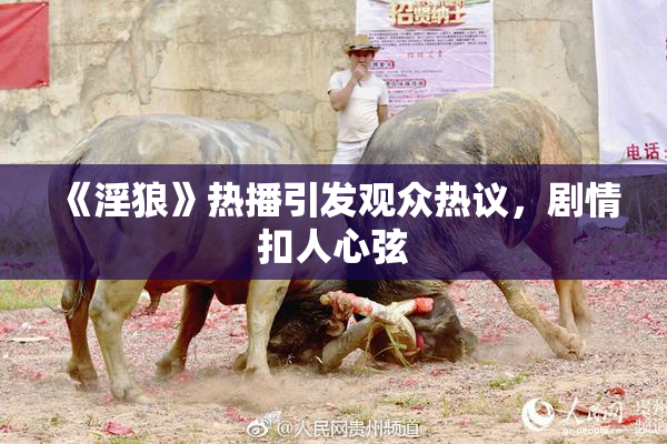 《淫狼》热播引发观众热议，剧情扣人心弦