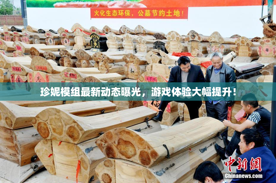 珍妮模组最新动态曝光，游戏体验大幅提升！