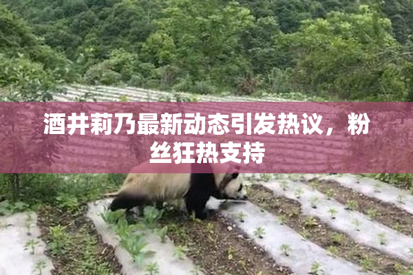 酒井莉乃最新动态引发热议，粉丝狂热支持