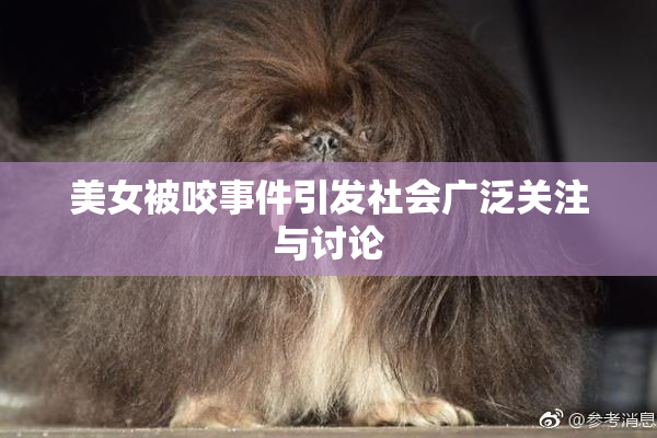 美女被咬事件引发社会广泛关注与讨论