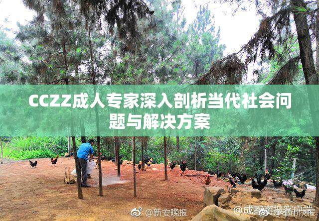 CCZZ成人专家深入剖析当代社会问题与解决方案