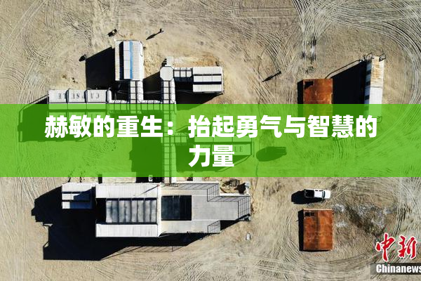 赫敏的重生：抬起勇气与智慧的力量