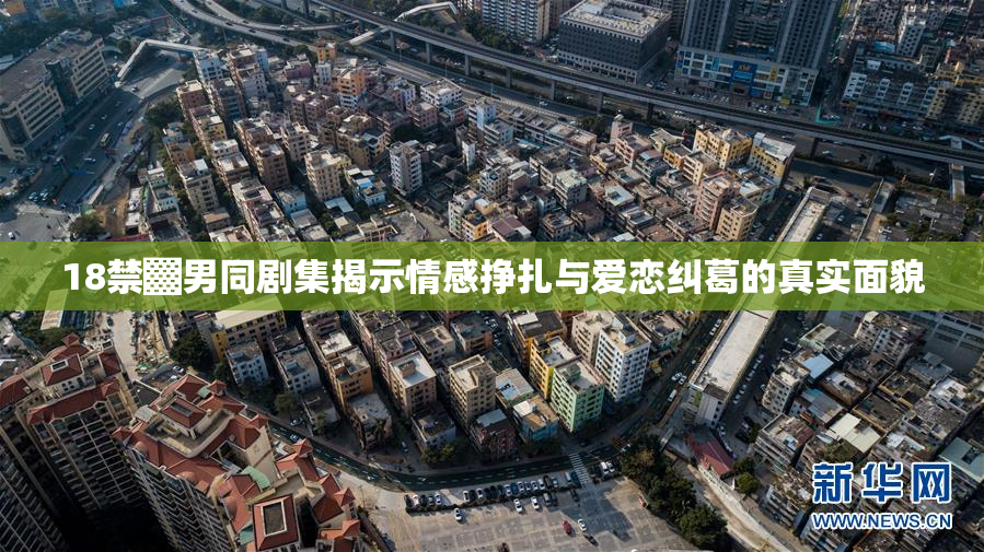 18禁▓男同剧集揭示情感挣扎与爱恋纠葛的真实面貌