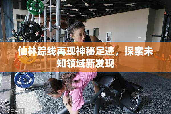 仙林踪线再现神秘足迹，探索未知领域新发现