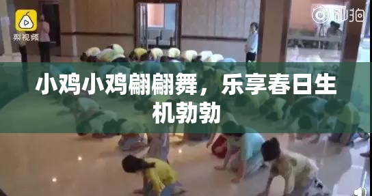 小鸡小鸡翩翩舞，乐享春日生机勃勃