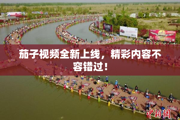 茄子视频全新上线，精彩内容不容错过！