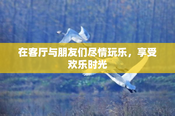 在客厅与朋友们尽情玩乐，享受欢乐时光