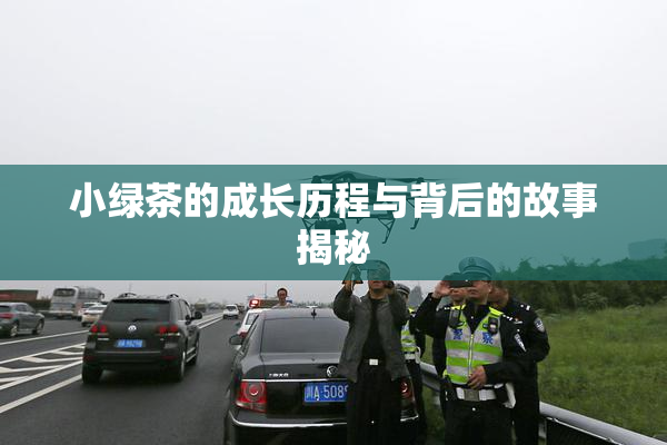 小绿茶的成长历程与背后的故事揭秘