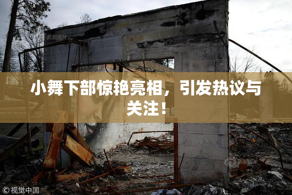 小舞下部惊艳亮相，引发热议与关注！