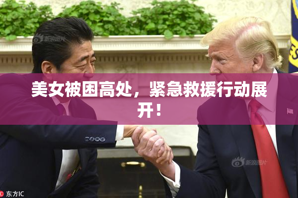 美女被困高处，紧急救援行动展开！