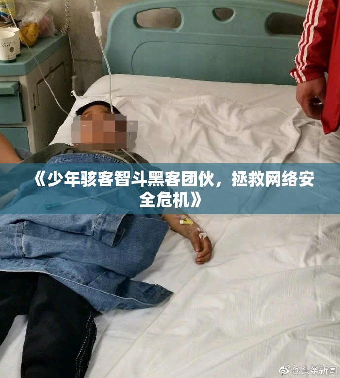 《少年骇客智斗黑客团伙，拯救网络安全危机》