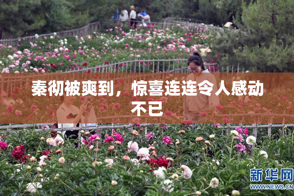 秦彻被爽到，惊喜连连令人感动不已
