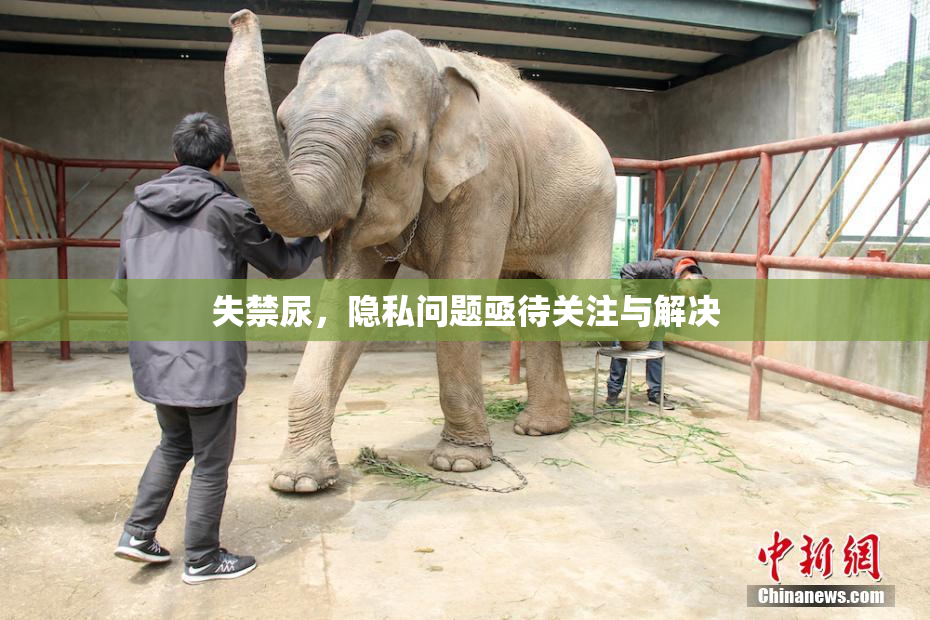 失禁尿，隐私问题亟待关注与解决