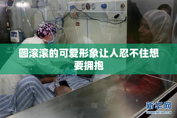 圆滚滚的可爱形象让人忍不住想要拥抱