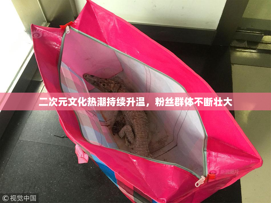 二次元文化热潮持续升温，粉丝群体不断壮大