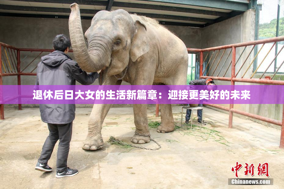 退休后日大女的生活新篇章：迎接更美好的未来