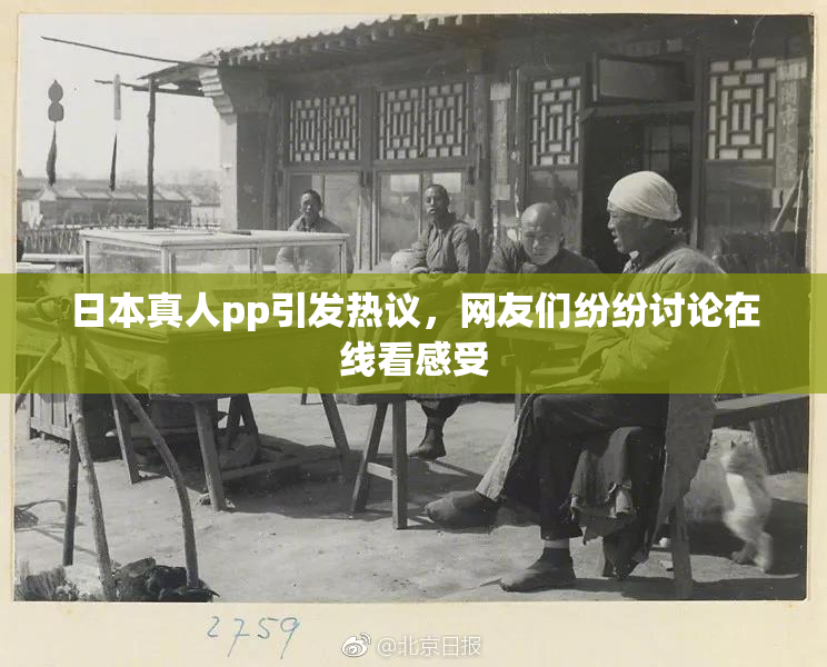 日本真人pp引发热议，网友们纷纷讨论在线看感受