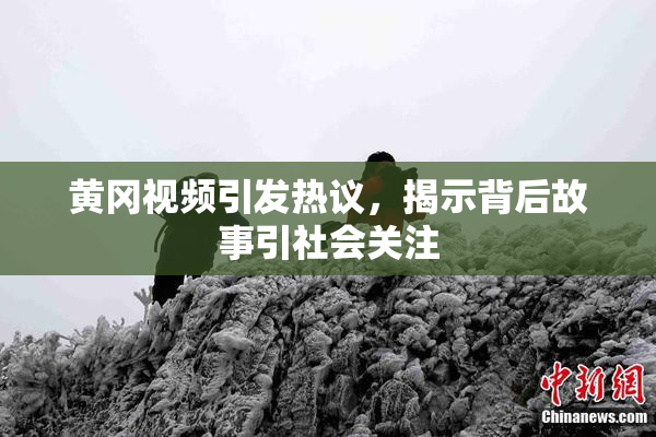 黄冈视频引发热议，揭示背后故事引社会关注