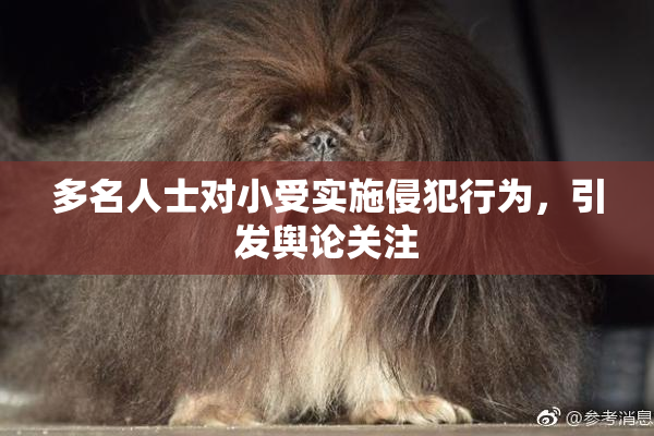 多名人士对小受实施侵犯行为，引发舆论关注