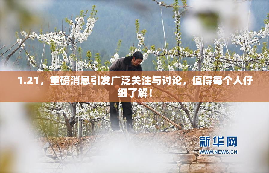 1.21，重磅消息引发广泛关注与讨论，值得每个人仔细了解！