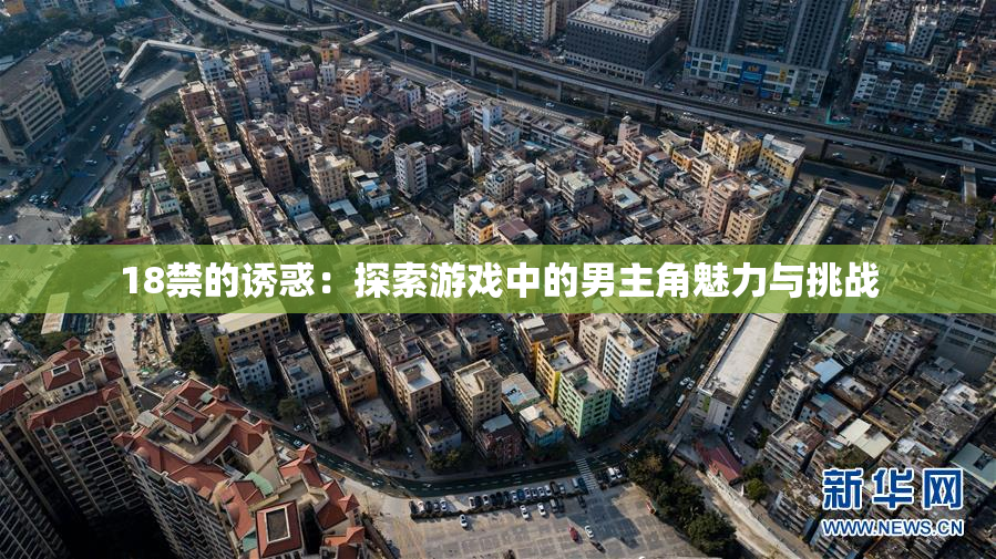 18禁的诱惑：探索游戏中的男主角魅力与挑战