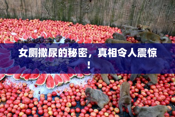 女厕撒尿的秘密，真相令人震惊！