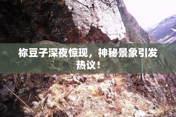 祢豆子深夜惊现，神秘景象引发热议！