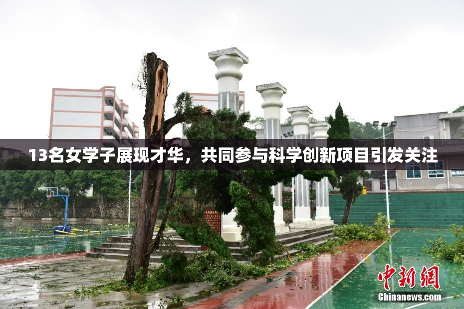 13名女学子展现才华，共同参与科学创新项目引发关注
