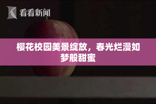 樱花校园美景绽放，春光烂漫如梦般甜蜜