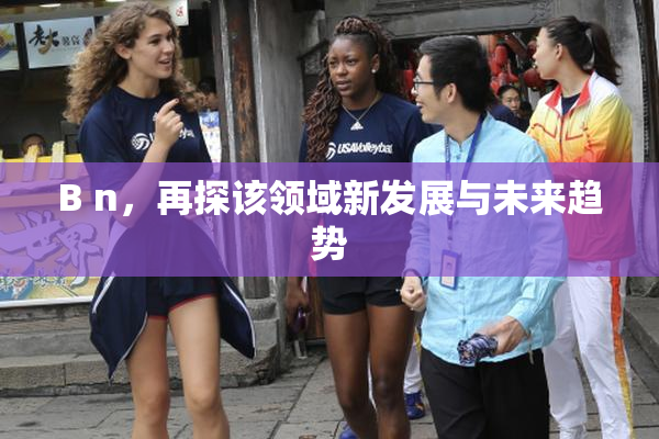 B n，再探该领域新发展与未来趋势