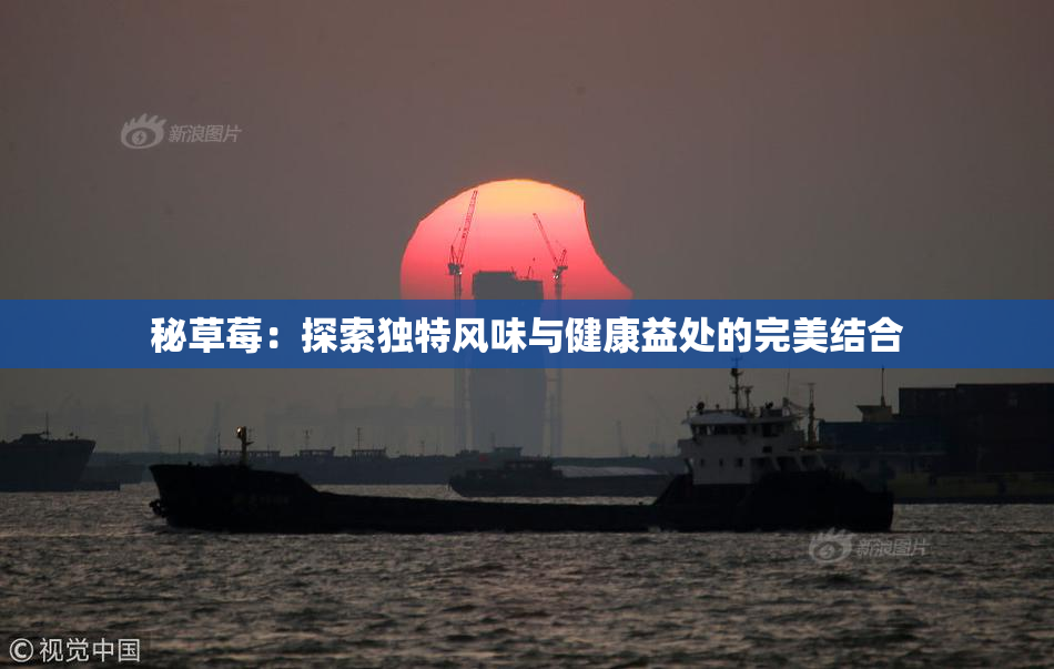 秘草莓：探索独特风味与健康益处的完美结合