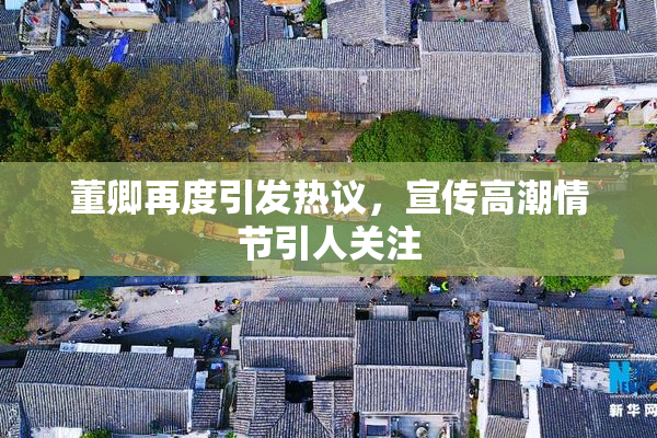 董卿再度引发热议，宣传高潮情节引人关注