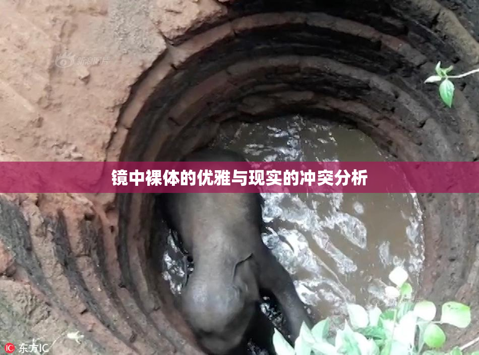 镜中裸体的优雅与现实的冲突分析