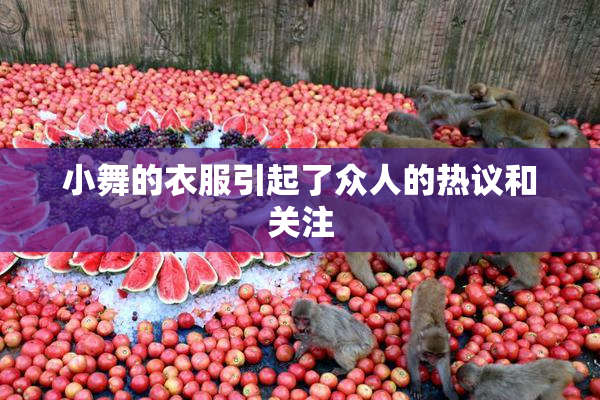 小舞的衣服引起了众人的热议和关注