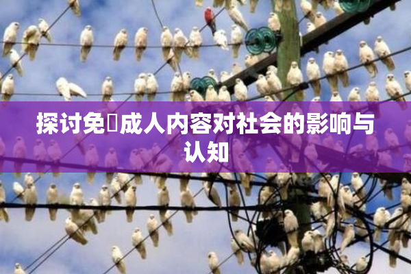 探讨免費成人内容对社会的影响与认知