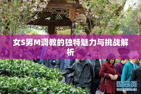 女S男M调教的独特魅力与挑战解析