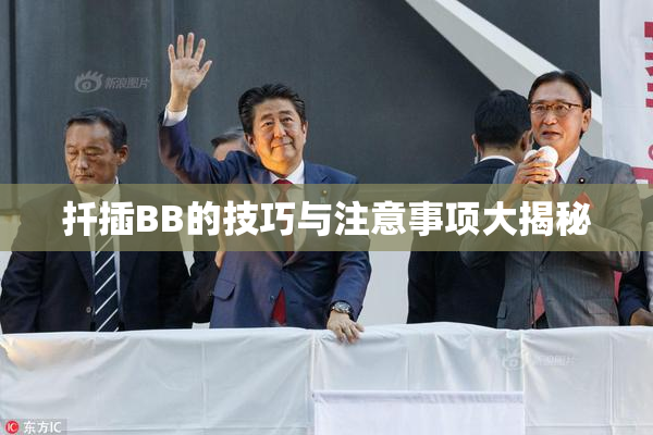 扦插BB的技巧与注意事项大揭秘