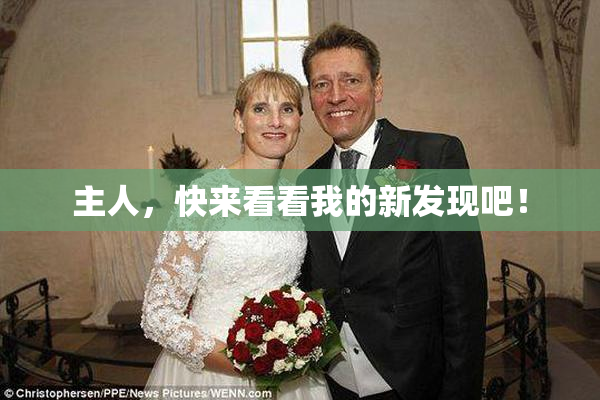 主人，快来看看我的新发现吧！