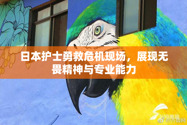 日本护士勇救危机现场，展现无畏精神与专业能力