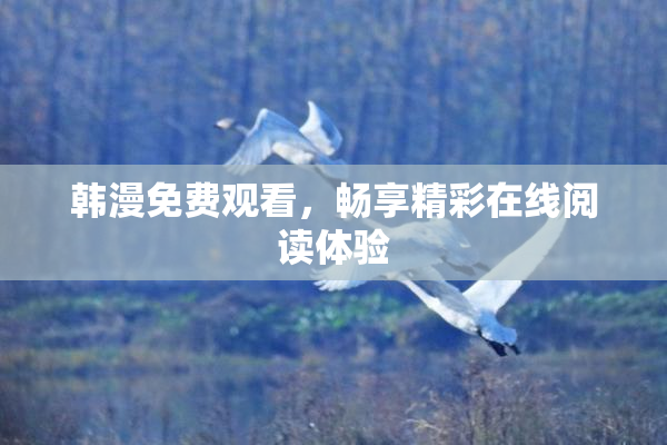 韩漫免费观看，畅享精彩在线阅读体验