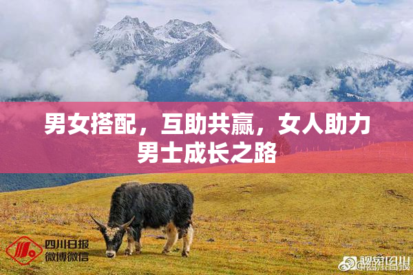男女搭配，互助共赢，女人助力男士成长之路