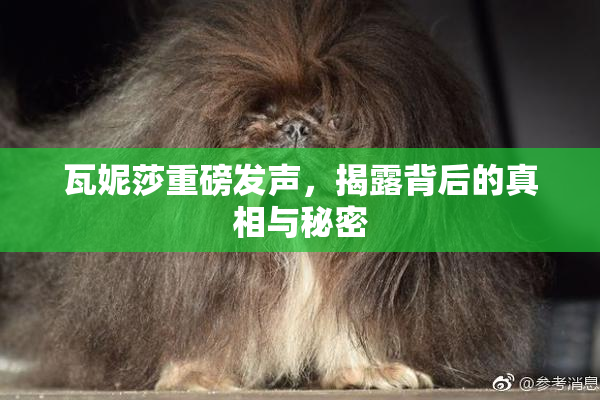 瓦妮莎重磅发声，揭露背后的真相与秘密