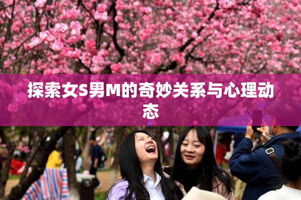 探索女S男M的奇妙关系与心理动态
