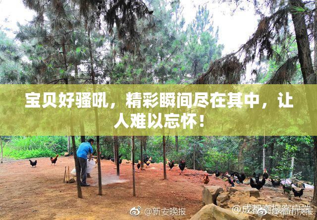 宝贝好骚吼，精彩瞬间尽在其中，让人难以忘怀！