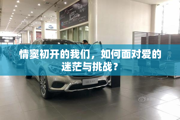 情窦初开的我们，如何面对爱的迷茫与挑战？