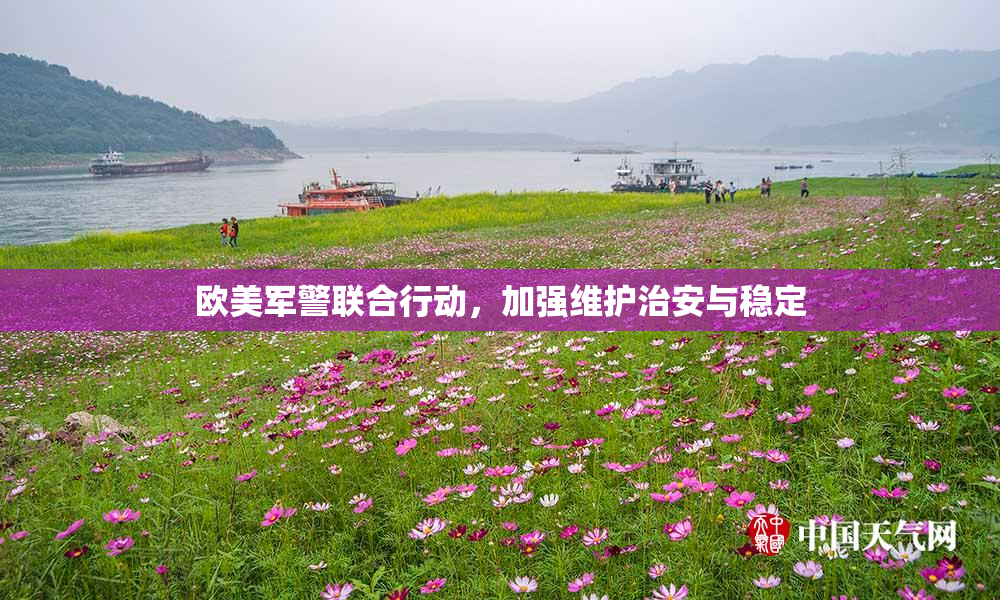 欧美军警联合行动，加强维护治安与稳定