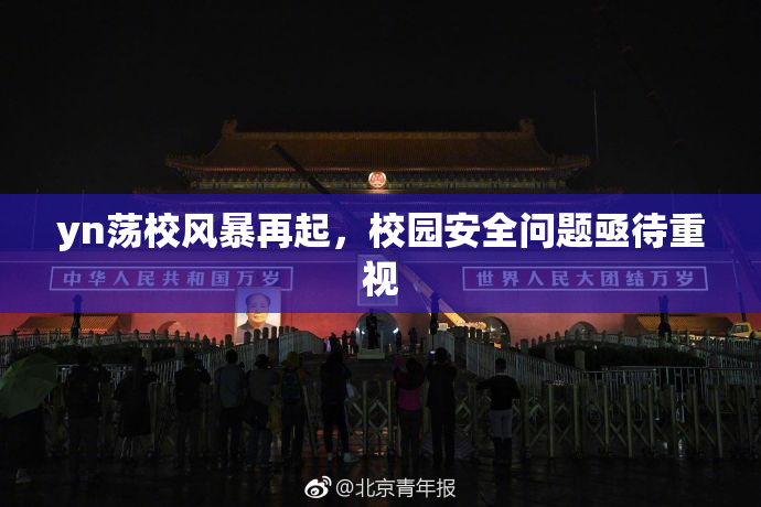 yn荡校风暴再起，校园安全问题亟待重视