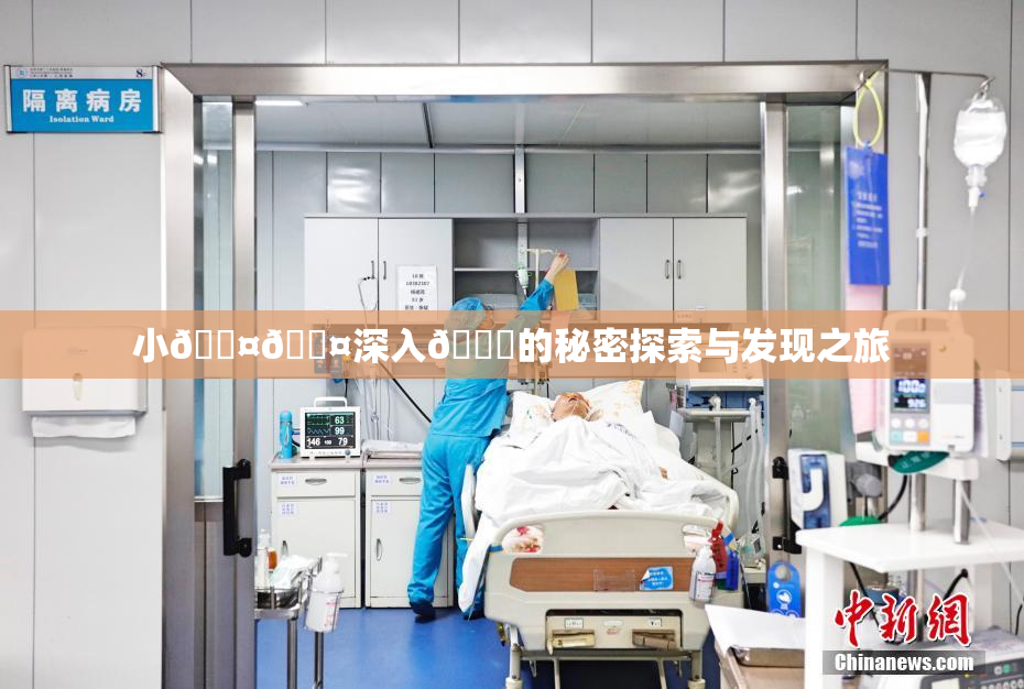 小🐤🐤深入🍑的秘密探索与发现之旅