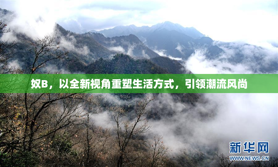 奴B，以全新视角重塑生活方式，引领潮流风尚