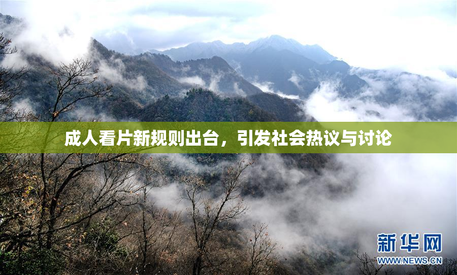 成人看片新规则出台，引发社会热议与讨论